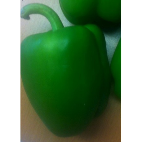 Pepper Green