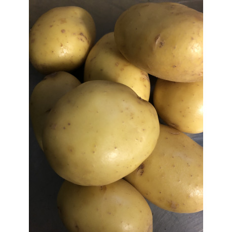 Potatoes Sprayfree Agria 5kg