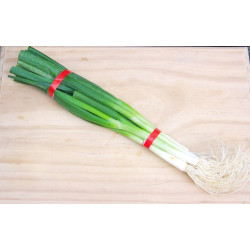 Spring Onions