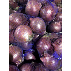 Onions