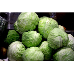 Cabbage Green