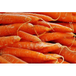 Carrots